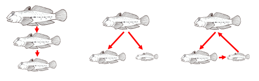 Screen Shot 2018-11-17 at 2.56.20 PM