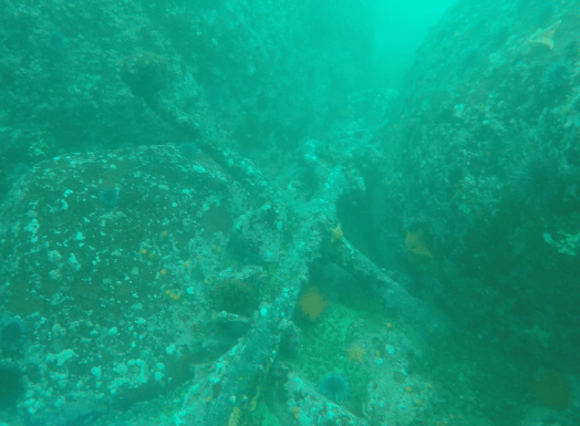 Screen Shot 2019-07-28 at 3.50.35 PM.png